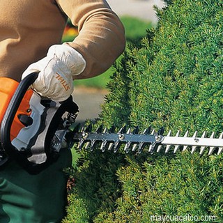 MÁY CẮT TỈA STIHL HS45