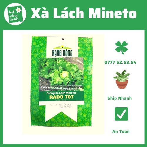 Hạt Giống Xà Lách Búp Minetto Rado 707 - Chịu Nhiệt Năng Suất, Giòn, Ngọt 2gr