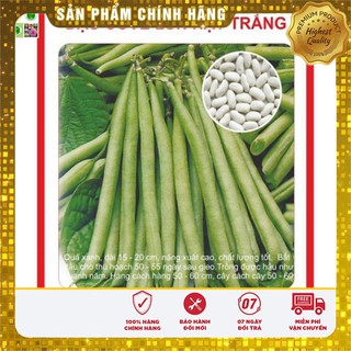 Hạt giống Đậu Cove lùn 50Gram [Bán Sỉ]