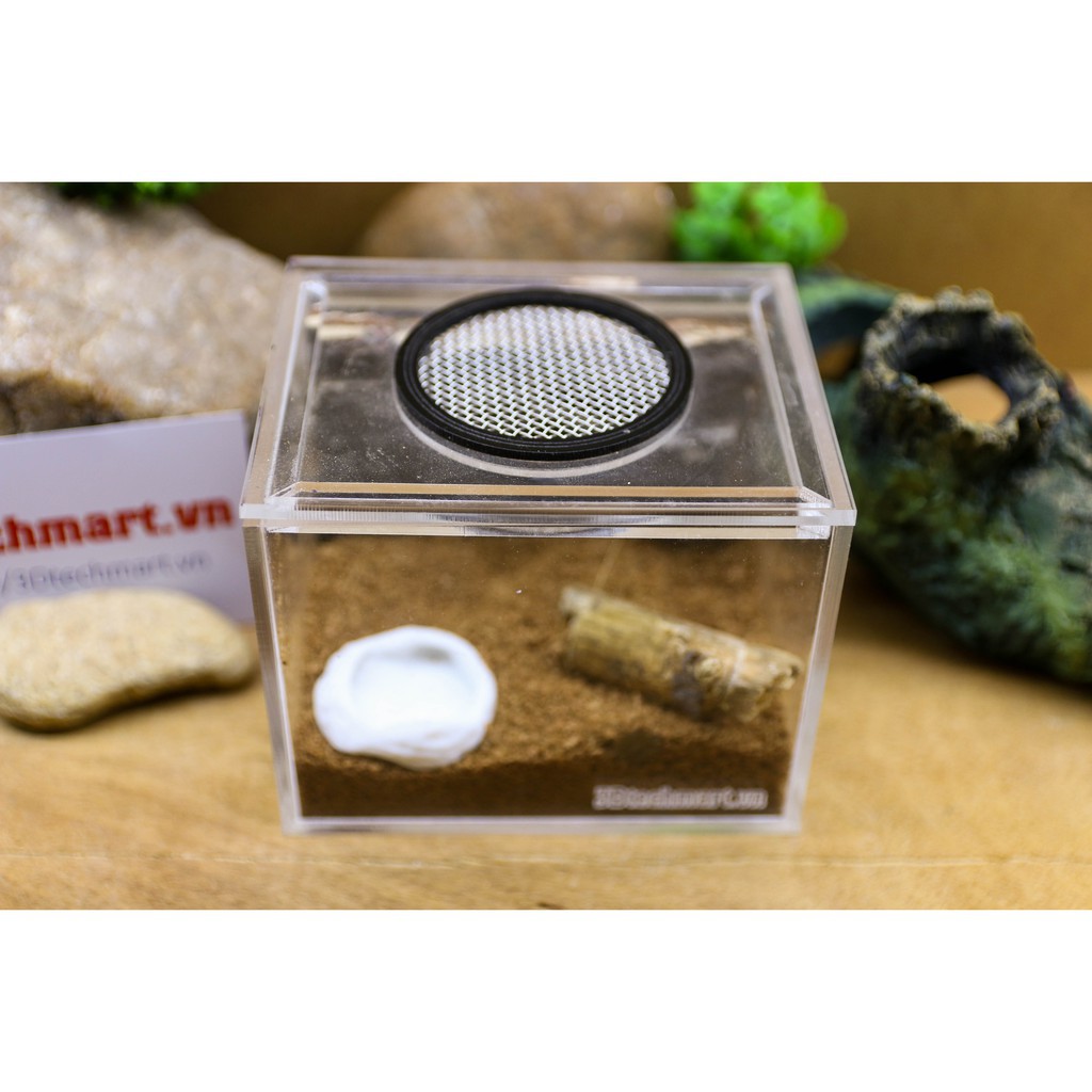 Hộp nuôi nhện size Sling 10-8-8cm cao cấp