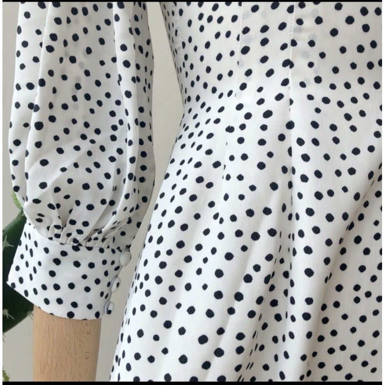Pass  váy đầm chấm bi Miêu Size M