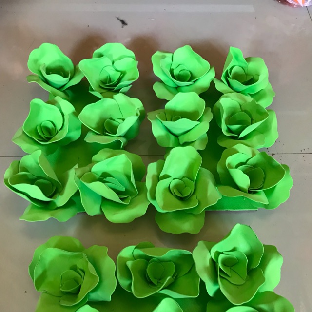 Vỉ rau sàlach
