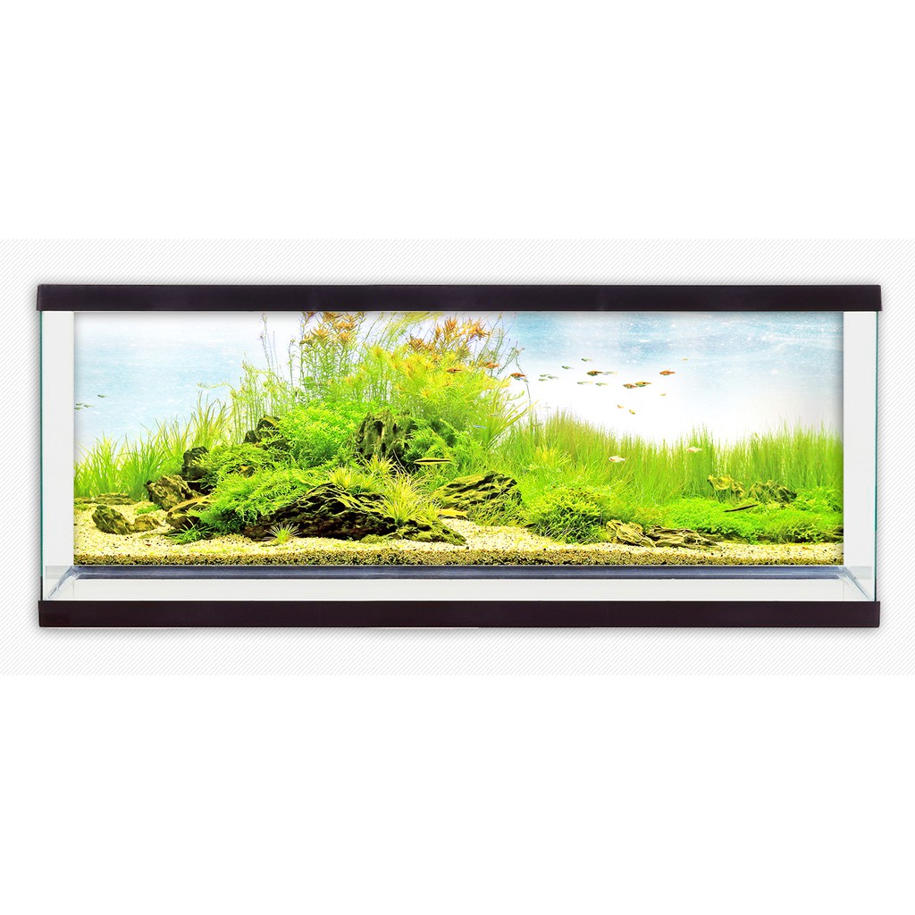 Tranh phông nền dán hồ cá Aquarium tank - 006