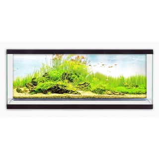 Tranh phông nền dán hồ cá Aquarium tank - 006