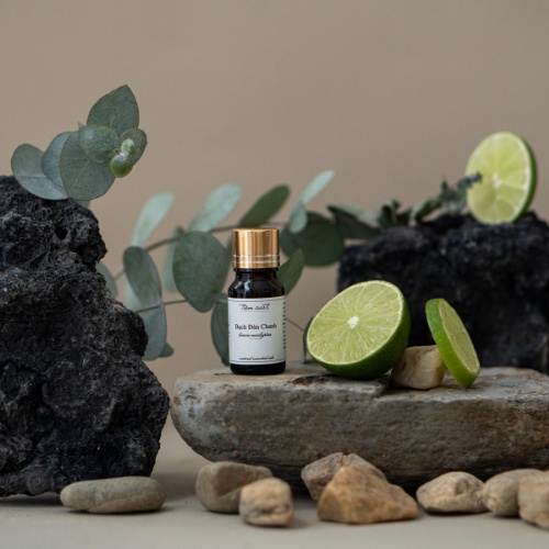 Tinh dầu Bạch Đàn Chanh | Tinh dầu thiên nhiên nguyên chất