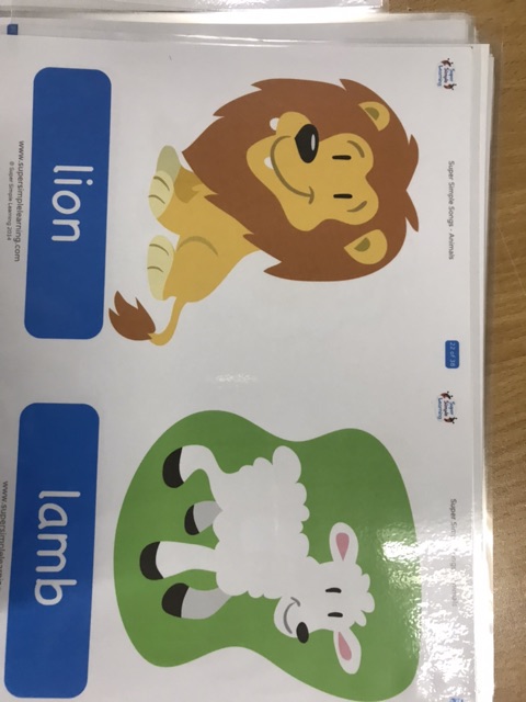 Thẻ học tiếng anh con vật flashcard animals