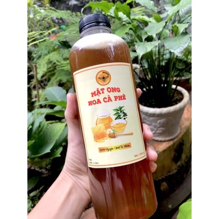 MẬT ONG HOA CÀ PHÊ