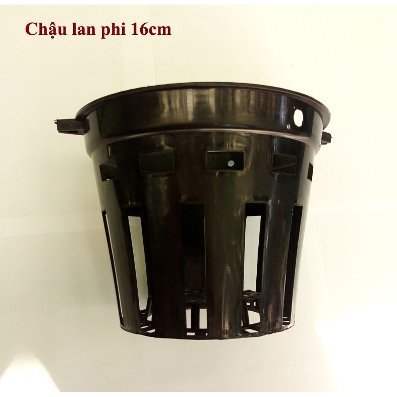 Sale off combo 50 chậu trồng lan phi 16cm cực đẹp.
