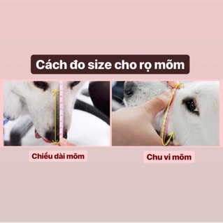 RỌ MÕM THÚ CƯNG - RỌ MÕM CHÓ