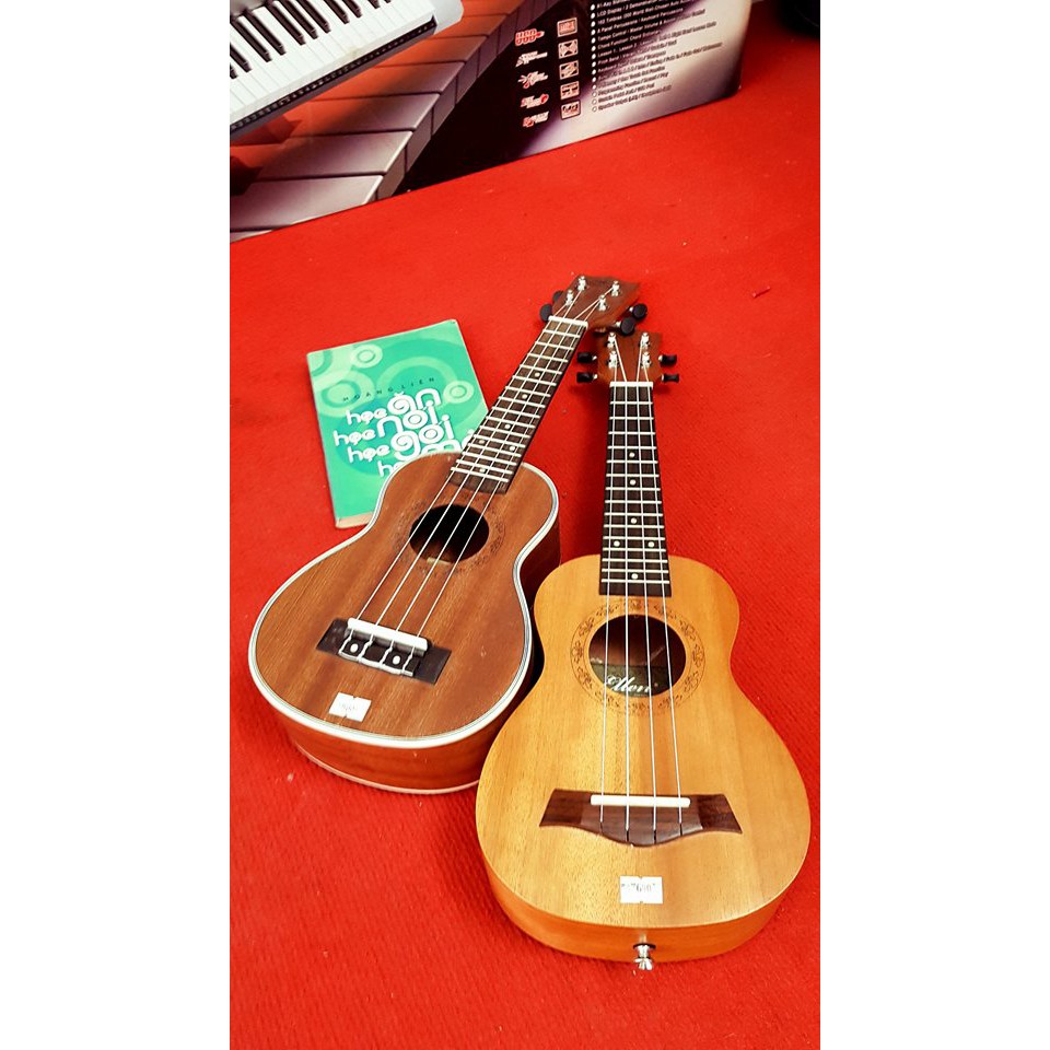 Đàn ukulele Concert