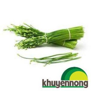 5 gram hạt giống rau hẹ bông
