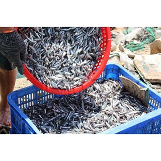 [Q.Tân Bình] Nước mắm nhĩ Phan Thiết - Chai dùng thử