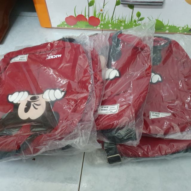 Balo Mickey Zara