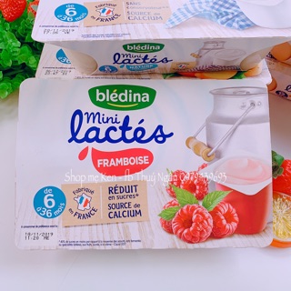 🍓SỮA CHUA BLEDINA PHÁP