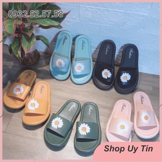 DÉP LÊ HOA CÚC 5 MÀU SIÊU ĐẸP( VIDEO VÀ ẢNH SHOP TỰ CHỤP Ạ)
