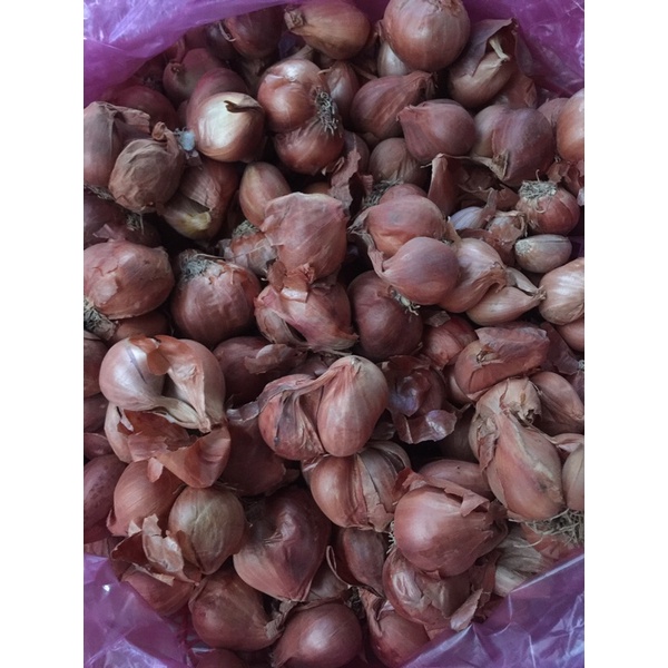 Hành củ bắc dùng làm hành phi 500g