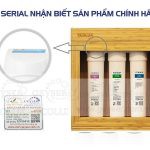 Máy lọc nước nano Geyser Ecolux  (nhập Nga)