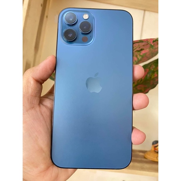 Hàng mẫu Trưng bày mô hình iphone 13 Pro Max/ 13 / 13 pro / iphone 12 Pro max/ 12 pro/iphone 11 pro max/