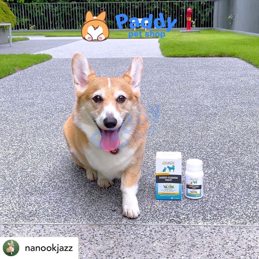 Viên Hỗ Trợ Tiêu Hóa, Thải Độc Ruột Cho Chó Mèo Natural Pet Digest Clease (Hộp 30 viên)