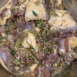Cây chanh thái( cây chúc hấp gà)