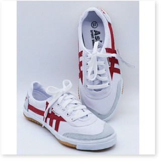 Giày vải Asia chạy bộ, giày đá banh csh03