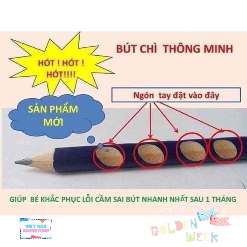 Bút chì định vị tay cầm 2B Cao cấp _ 12 bút tặng kèm 1 gọt bút chì