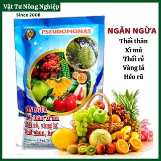 Chế phẩm sinh học Pseudomonas