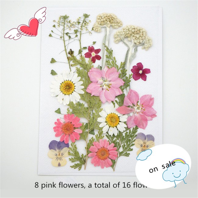 Bookmarks Photo Frame Makeup Decoration Jewelry  Handmade Flowers Diy For Dried