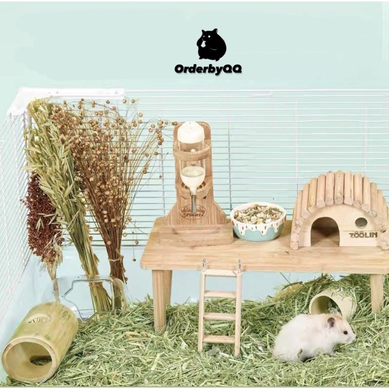 TAFIT Đậu Hũ Sấy Nhiều Vị/ Cành Lanh Trang Trí Chuồng Hamster