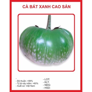 Hạt giống Cà Bát Xanh 1gram hạt giống bốn mùa