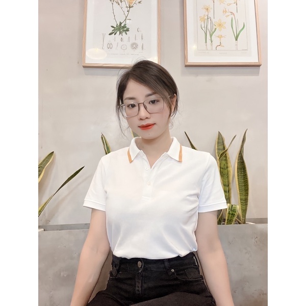 Áo Polo Nữ Tông Trắng  Soleil Cotton Cao Cấp,  Basic thoang mát Chất Liệu Pique Măt chim,dáng suông TIPK03287.