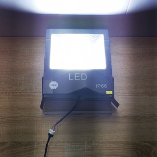 ĐÈN PHA LED COB 100W/50W IP66 (6500K ÁNH SÁNG TRẮNG)