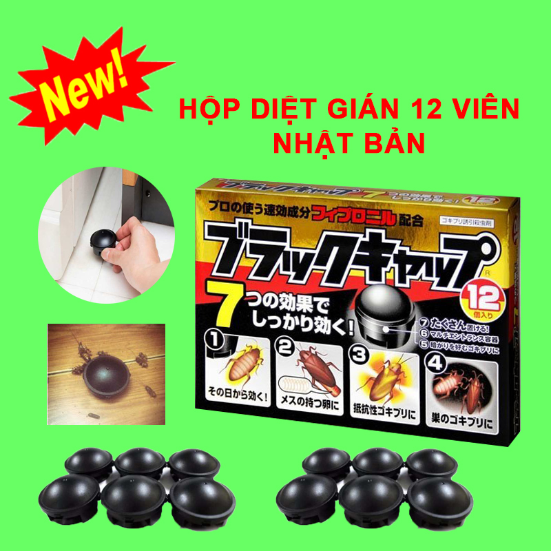 Hộp diệt gián Nhật Bản 12 viên an toàn,  không gây độc hại diệt sạch gián khử mùi hôi khó chịu