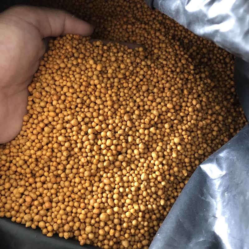 100g phân tan chậm vàng 14 14 14 cho sen đá xương rồng  hoa lan cây cảnh kim tien cây nội thất