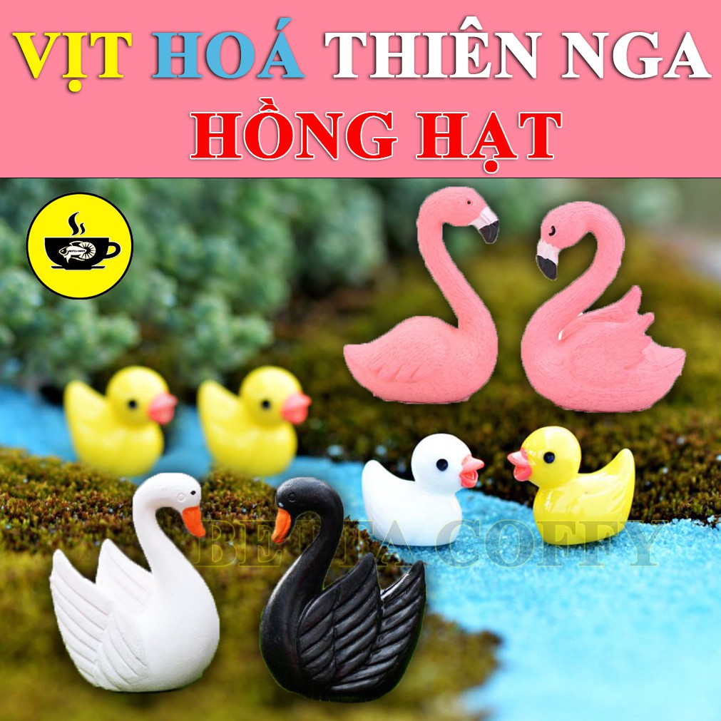 Vịt hoá Thiên nga Hồng hạc - trang trí tiểu cảnh bờ sông