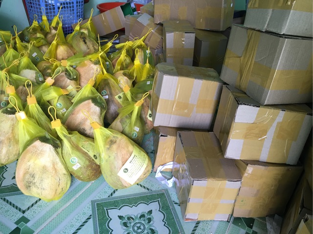 Dừa Sáp Hảo Hạng - Cơm Siêu Dày, Hàng tuyển
