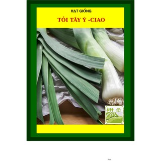 2 Gram - Hạt Giống Tỏi Tây Ý