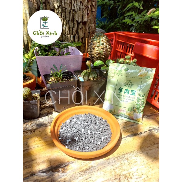 Phân Bón Tan Chậm Cho Sen Đá Xương Rồng mập bón