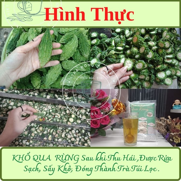 TRÀ KHỔ QUA RỪNG - 60 Túi Lọc, Thanh Nhiệt, Giảm Gút, Giảm Tiểu Đường, Trà Túi Lọc Tiện Lợi