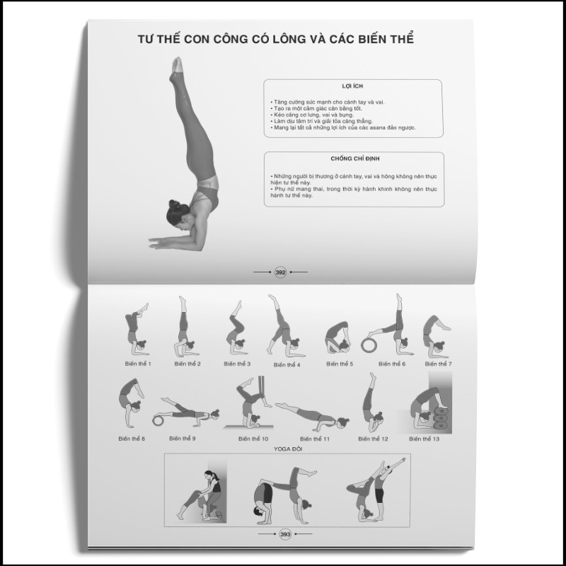 Sách - Hệ thống 1500 biến thể tư thế, 100 chuỗi bài Yoga liên hoàn