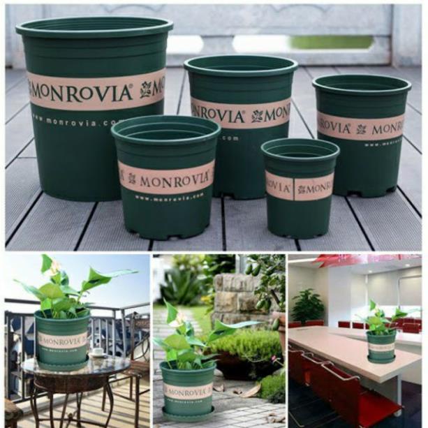 Chậu Nhựa Trồng Hoa Monrovia/Sprouting Đủ Size _ Chậu Mon Hàng Dày