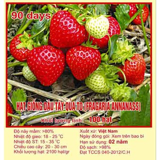 Hạt giống quả dâu tây