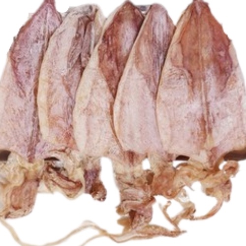 Mực Khô Câu Nha Trang size 29-33  Khô Mực Ngon Loại 1 Cá Mực Khô Ngon Ngọt Mềm | BigBuy360 - bigbuy360.vn