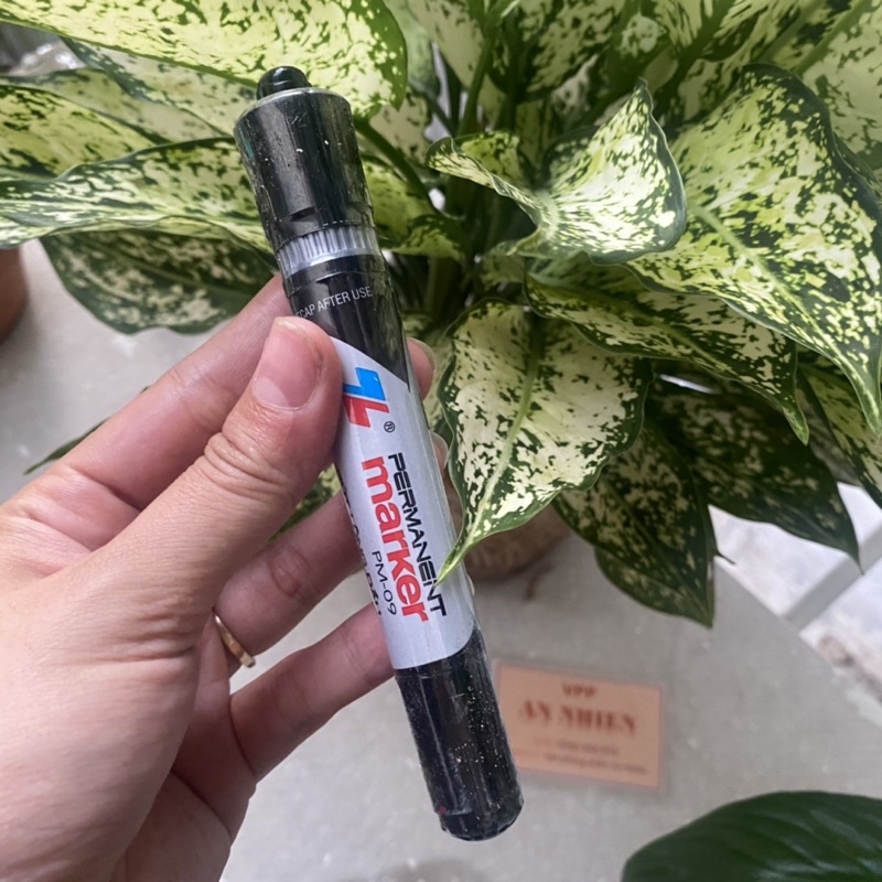 Bút Lông Dầu PM-09 Thiên Long