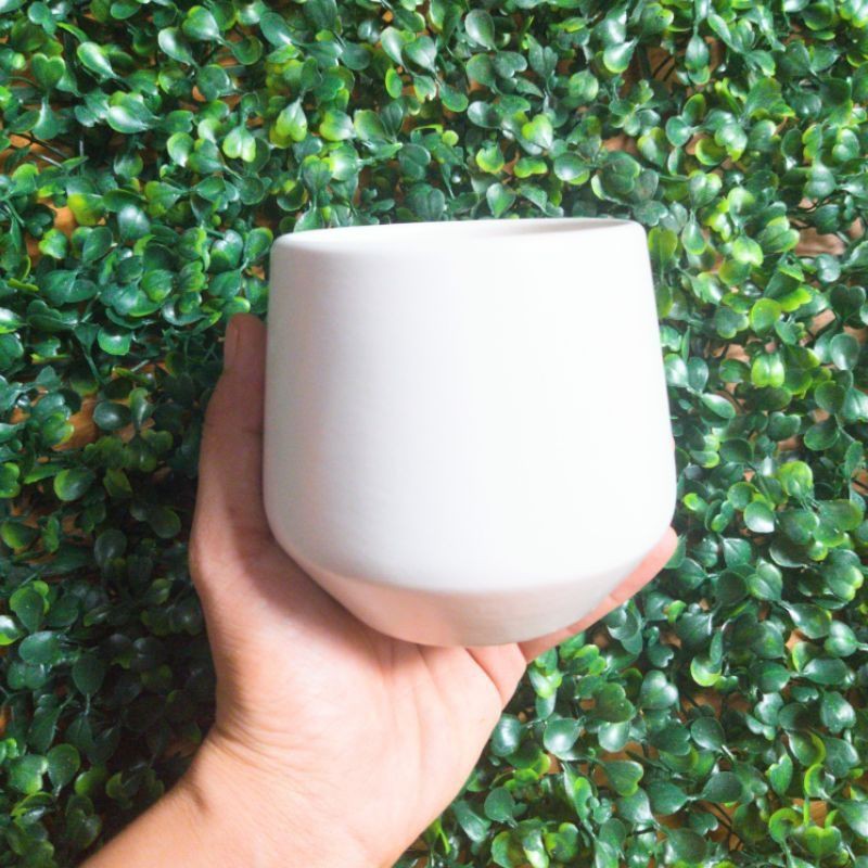 Combo phụ kiện, sỏi và sen đá cho khách