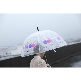 Ô pony trong suốt