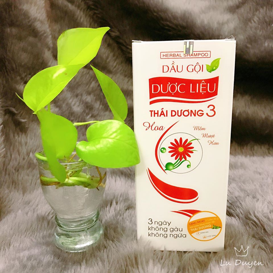 Dầu Gội Thái Dương 3 Hương Hoa 200ml (Dược Liệu) | BigBuy360 - bigbuy360.vn