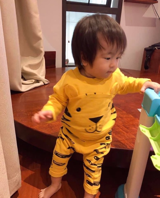 Bộ nỉ hổ vàng HM cho bé