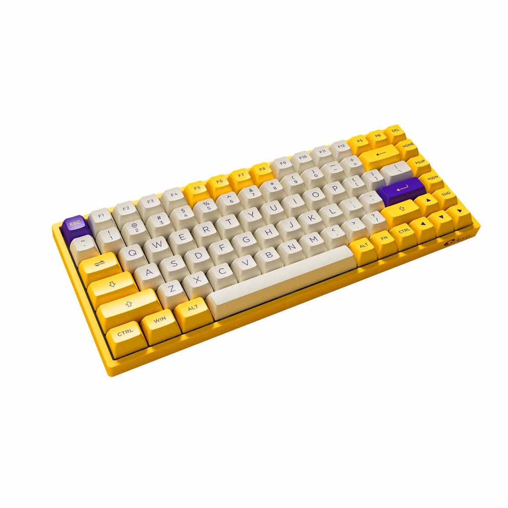 Bàn phím cơ AKKO 3084 v2 Los Angeles/ 3084B Plus Black Gold | RGB | Bluetooth | Wireless 2.4 Ghz | USB Type C