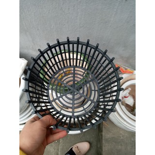 Sét 20 chiếc giỏ trồng lan mới về rộng 20cm